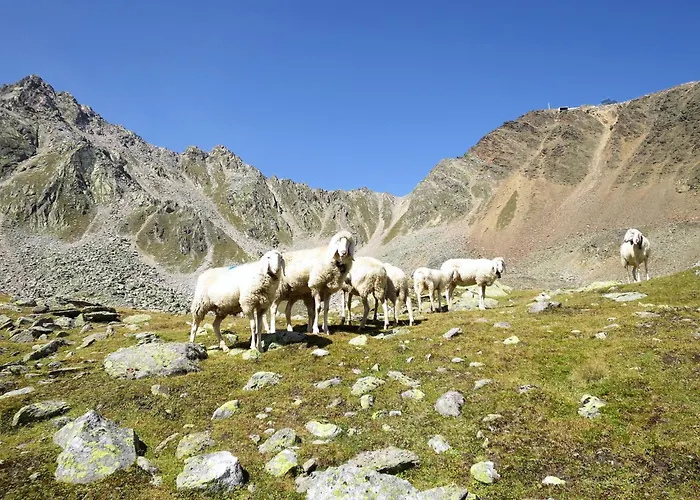 Holiday home Black Stone By Interhome *